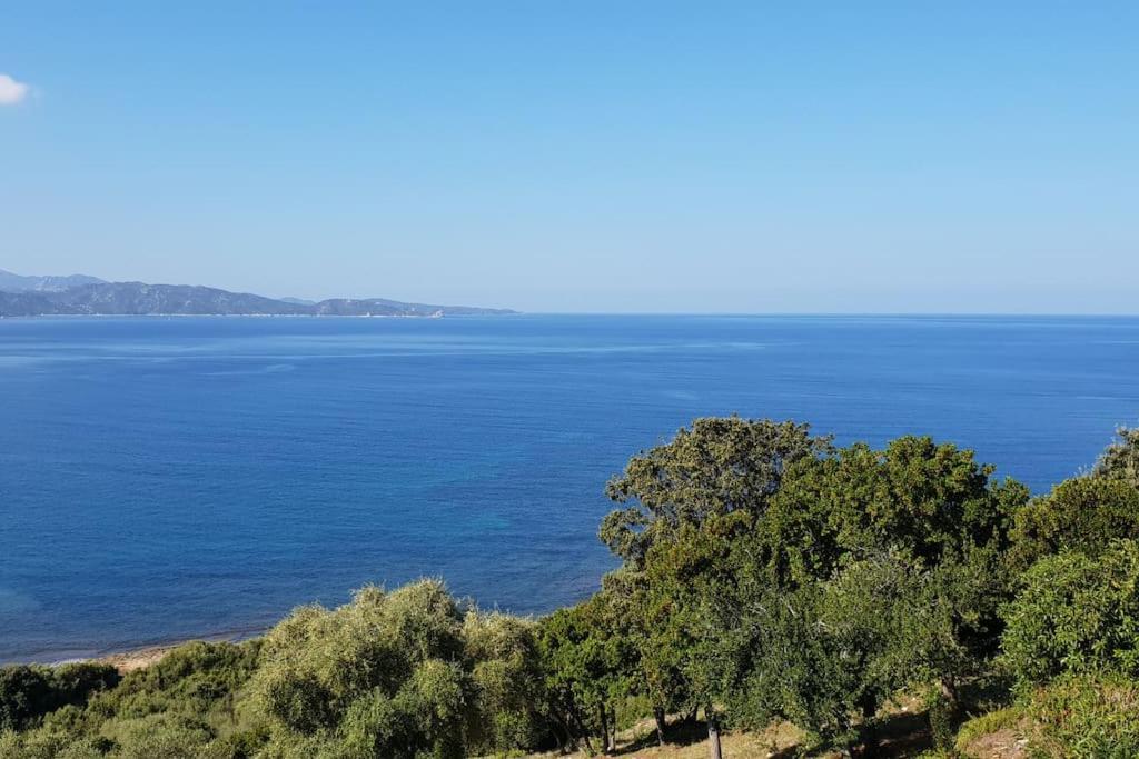 شقة Casa Marine Du Soleil 60 باتريمونيو المظهر الخارجي الصورة