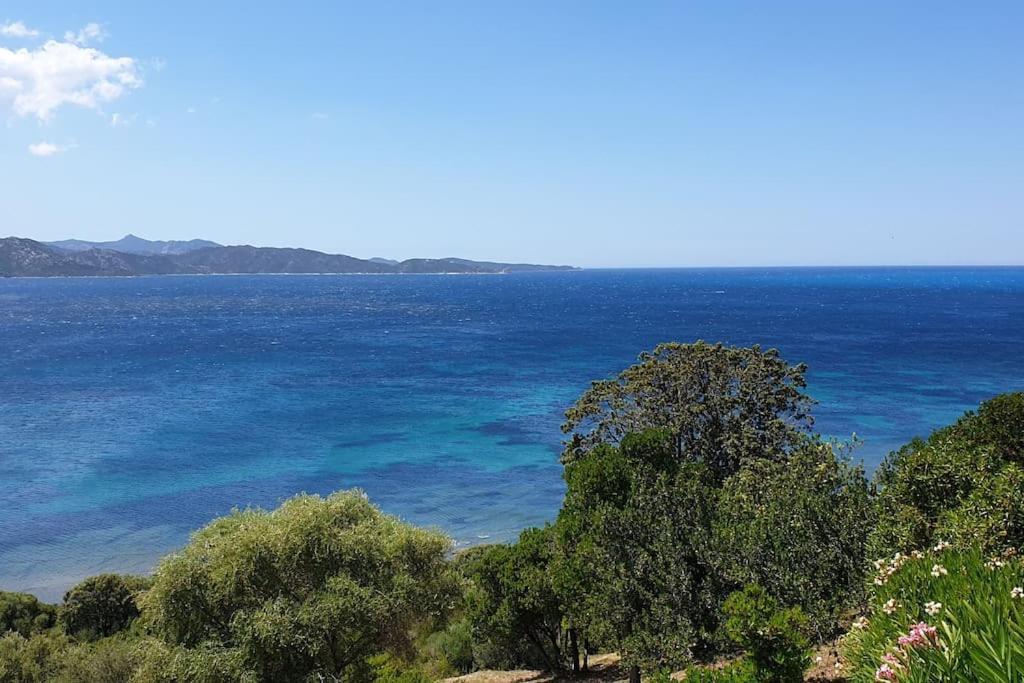 شقة Casa Marine Du Soleil 60 باتريمونيو المظهر الخارجي الصورة